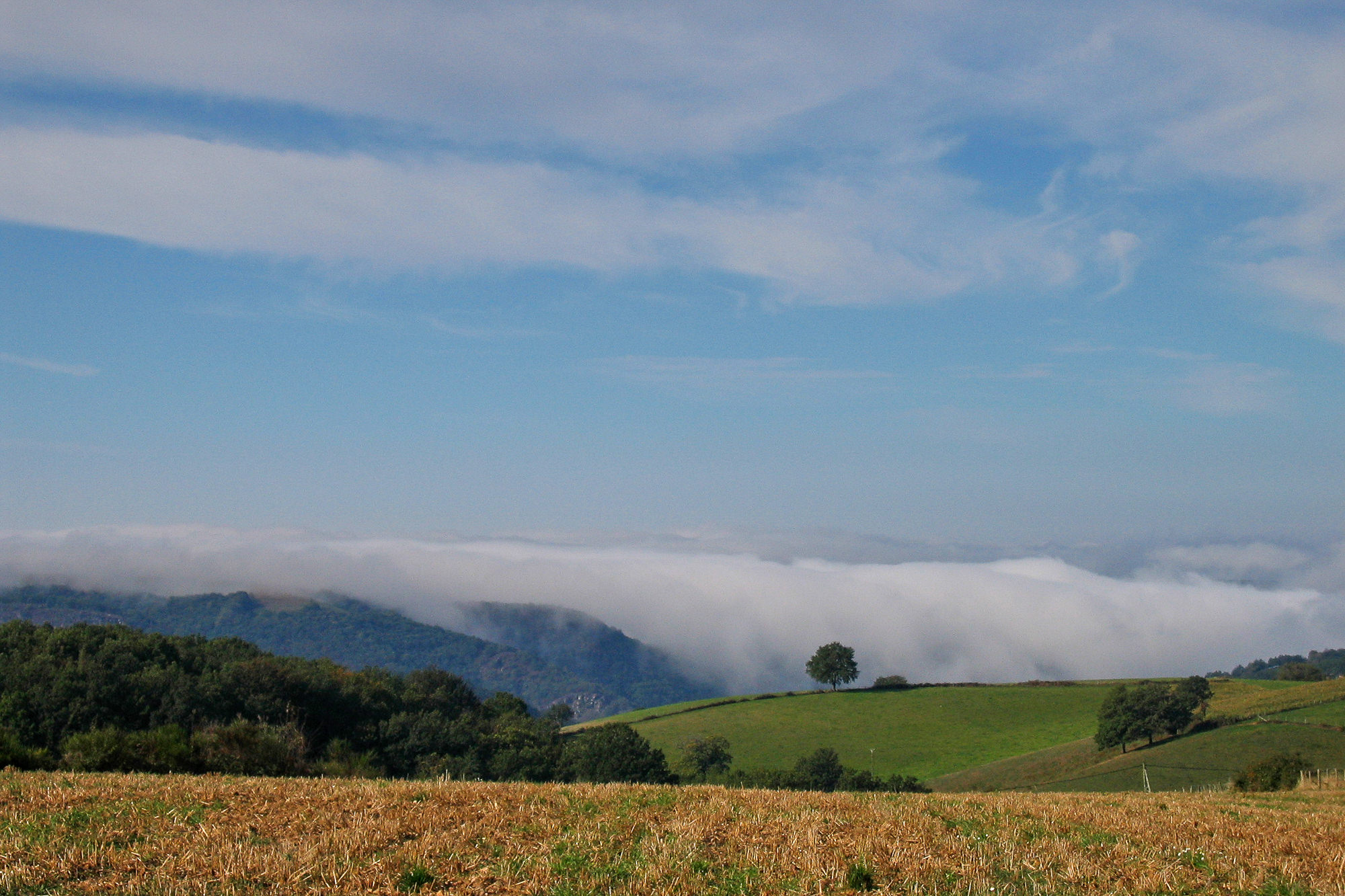 Tag 6: Von Espeyrac nach Conques