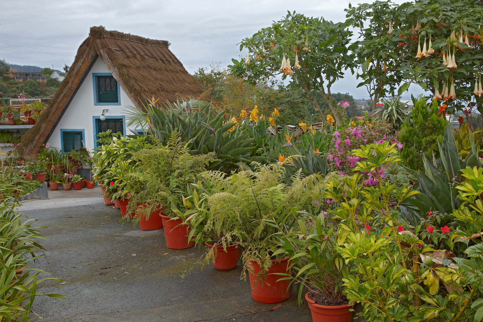 traditionelles Bauernhaus in Santana