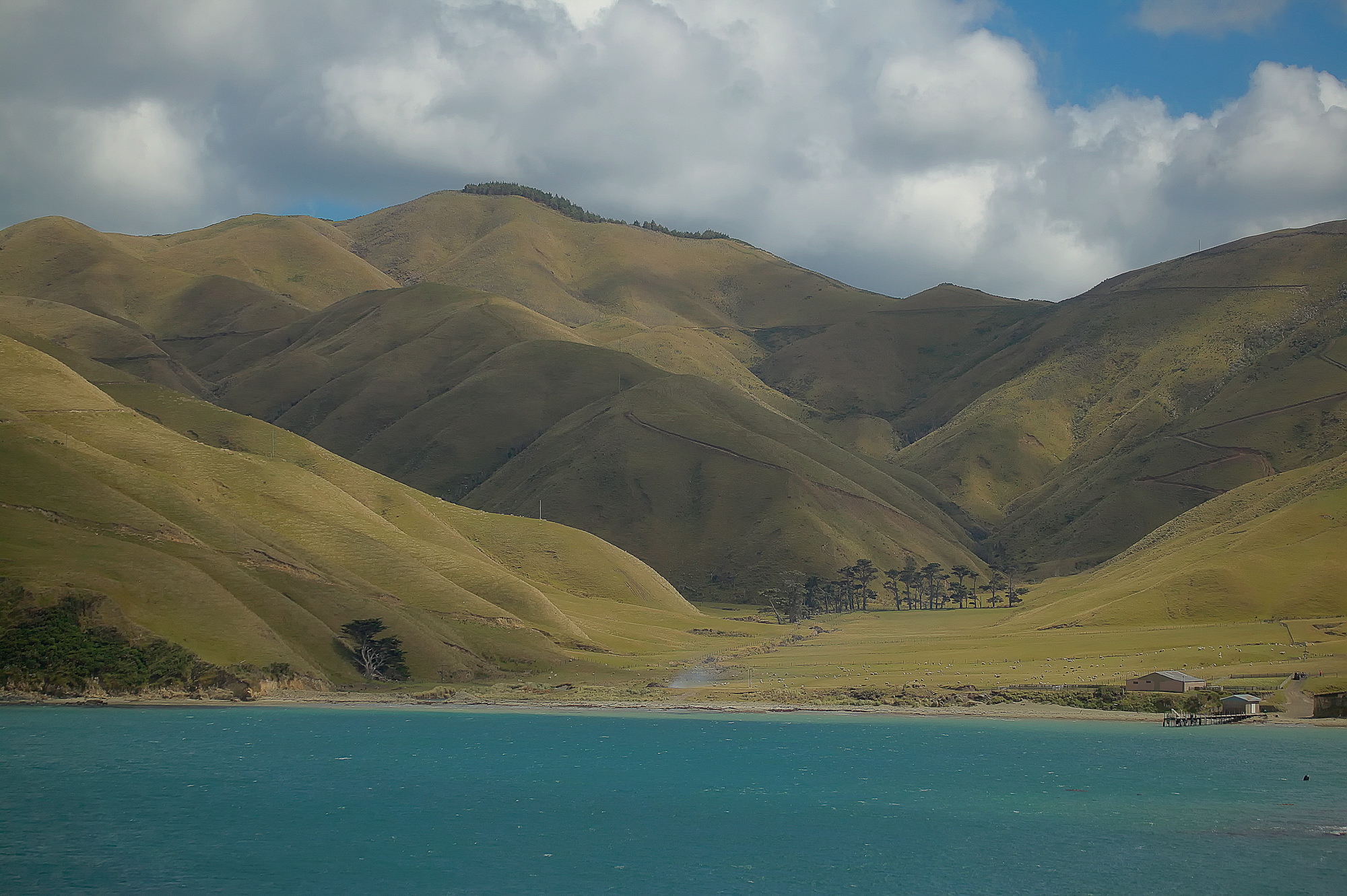 auf der Überfahrt zur Südinsel