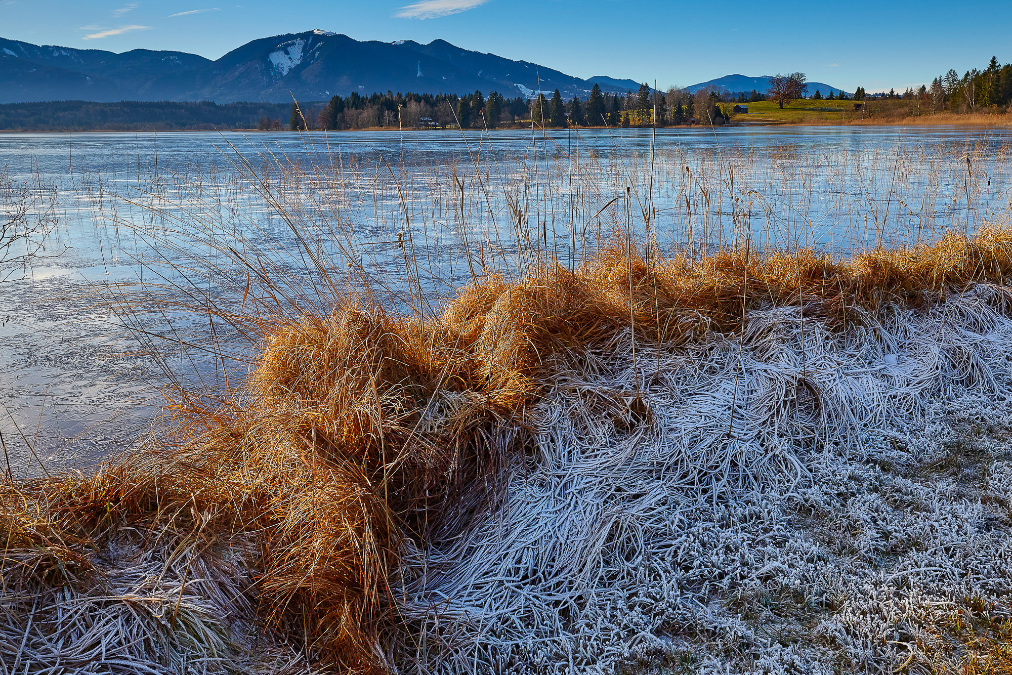Raureif am Staffelsee