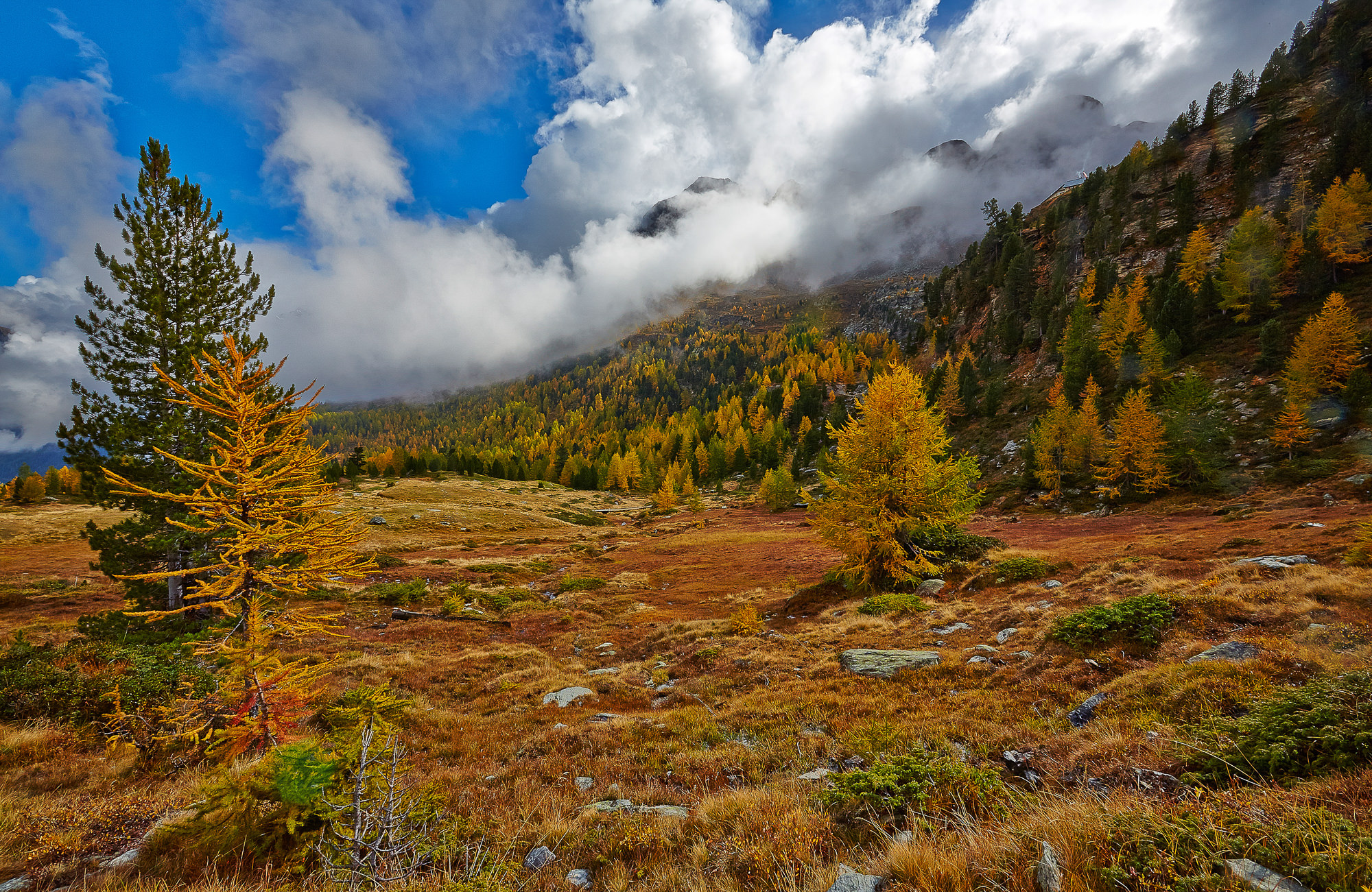 Autumn in the Martell valley, South Tyrol