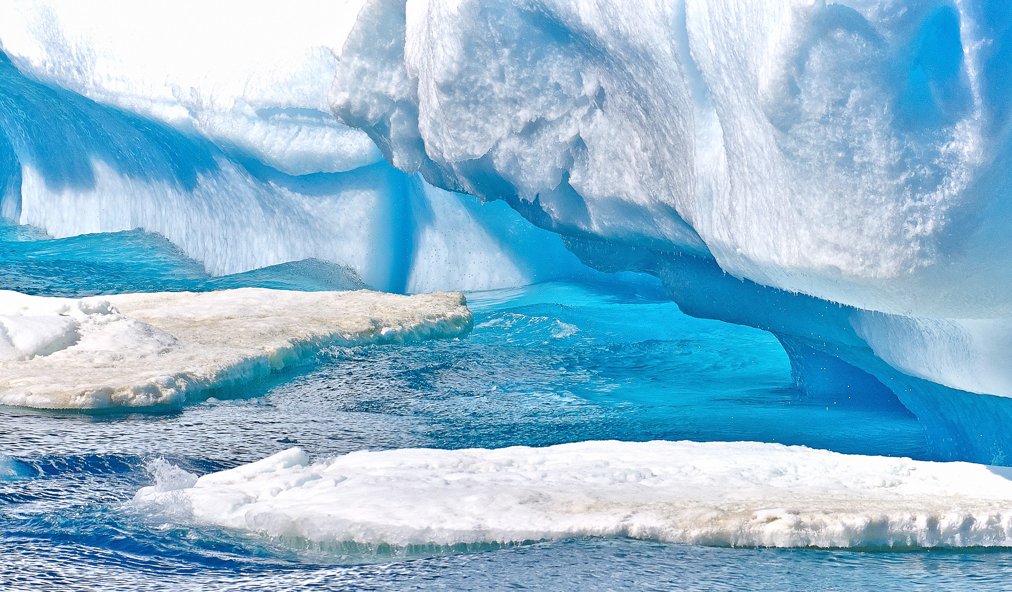iceberg in the Antarctic Sound