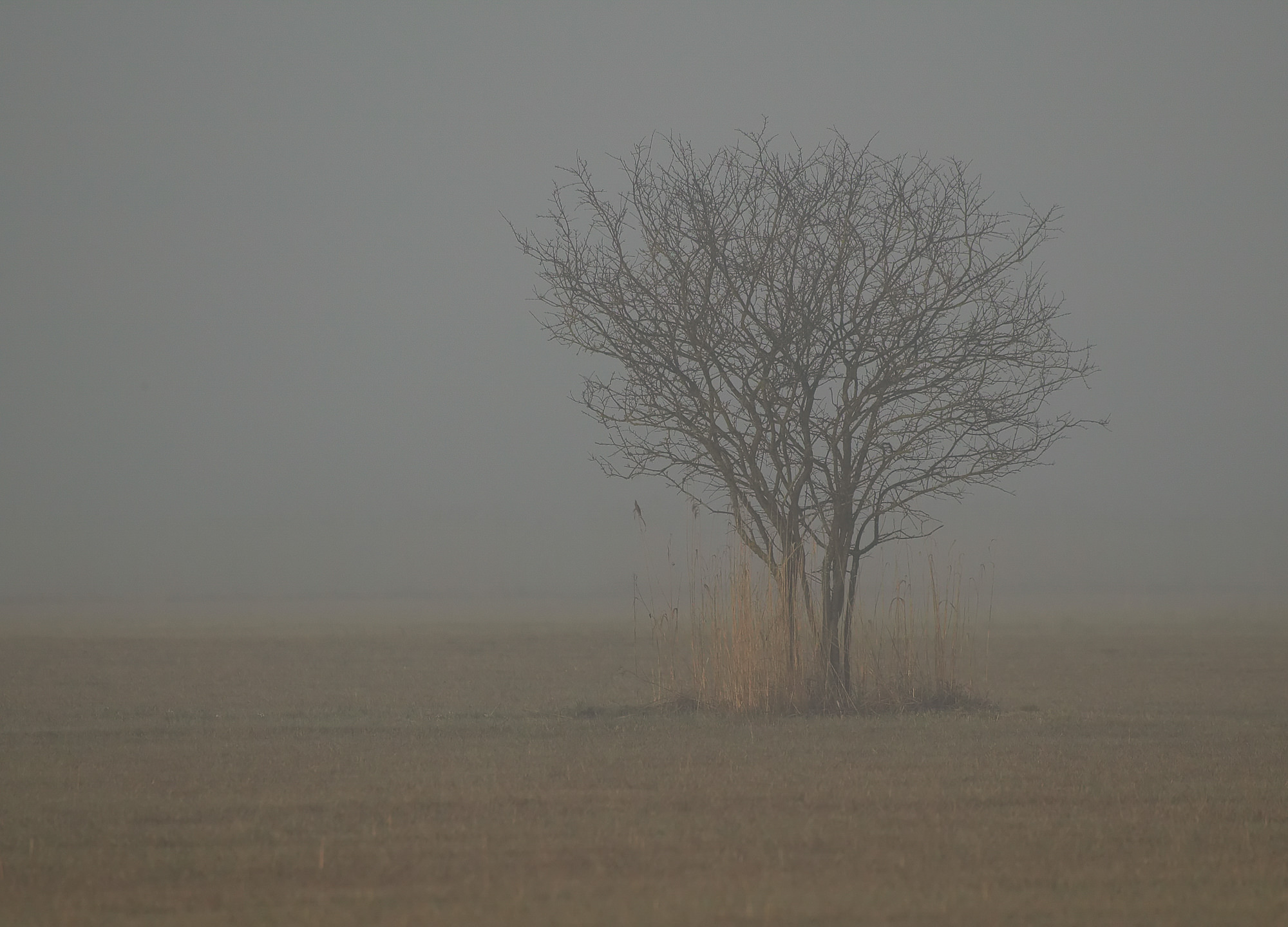 autumn mood at lake Ammersee