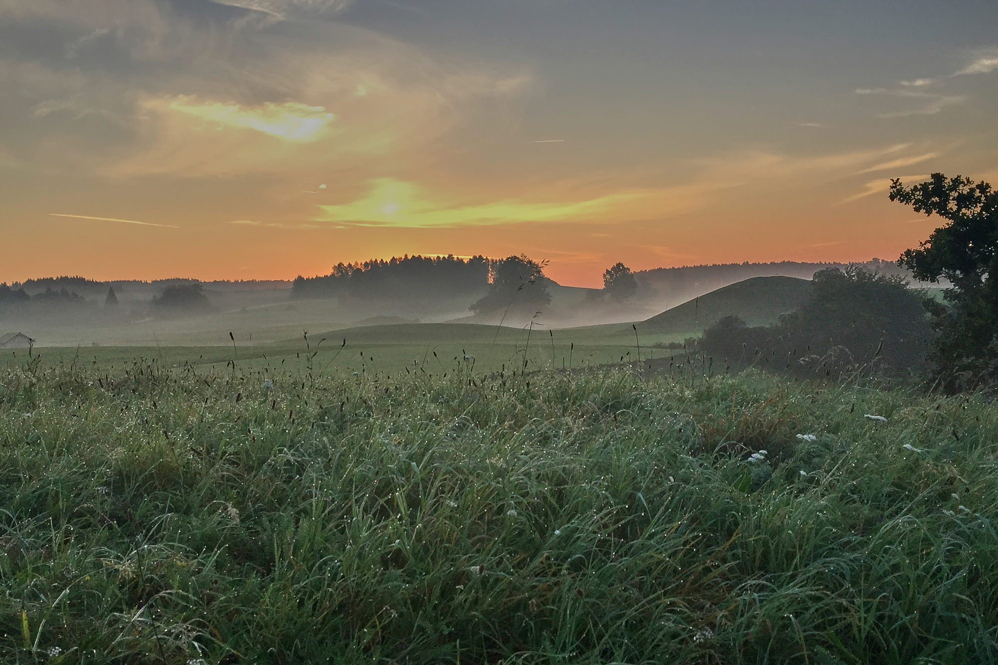 autumn morning mood in the pre-alps near Weilheim, Upper Bavaria