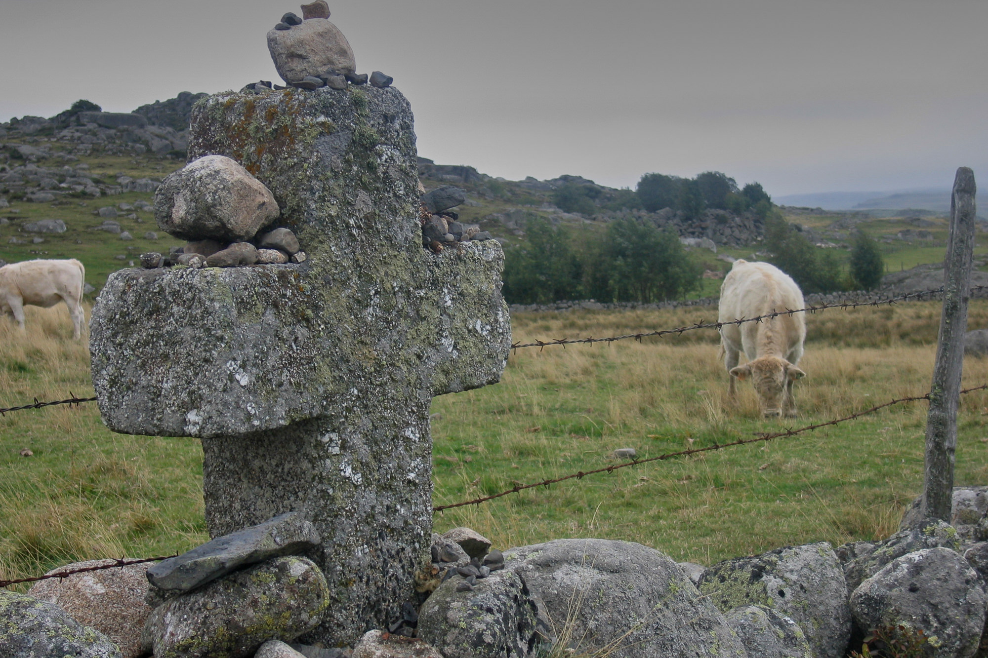 Day 1: Way through plateau Aubrac